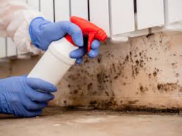 Mold Odor Removal Services in Swarthmore, PA